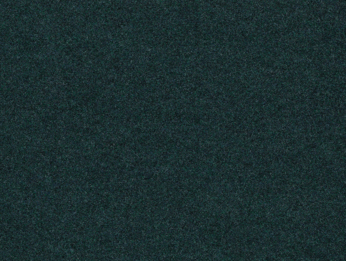 Forte Color у рулоні - 96028 glade